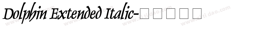 Dolphin Extended Italic字体转换